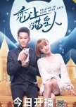 Falling in Love With Cats chinese drama review