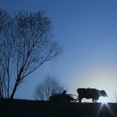 Old Partner Korean Movie photo