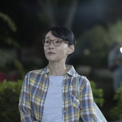 I Want to See You Again on That Starry Hill. Japanese Movie(2026) photo