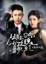 Lu Xian Sheng, Ni Jian De Xiao Mei Gui You Xian Zhuo Liao Zhi Jing Ji Mei Gui Chinese Drama(2026) photo