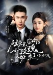 Lu Xian Sheng, Ni Jian De Xiao Mei Gui You Xian Zhuo Liao Zhi Jing Ji Mei Gui
