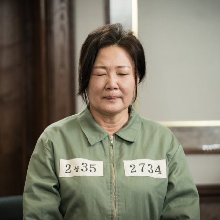 Judge vs. Judge (2017)