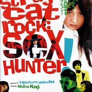 Stray Cat Rock: Sex Hunter (1970)