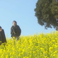 Yamato Nadeshiko Shichi Henge Japanese Drama photo