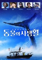 Secrets of Wildlife Korean TV Program photo