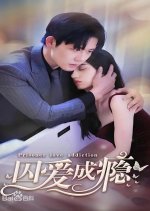 Prisoner Love Addiction Chinese Drama photo