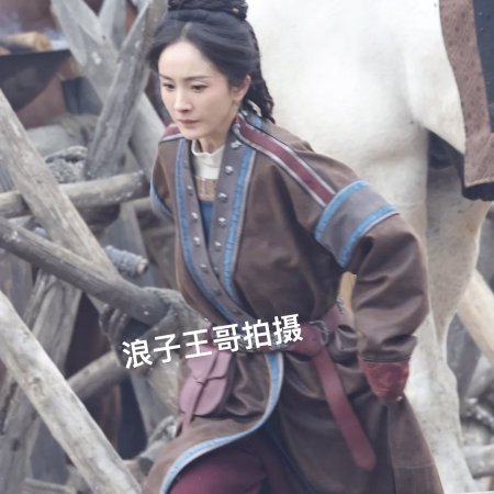 Northern Wei Dynasty ()