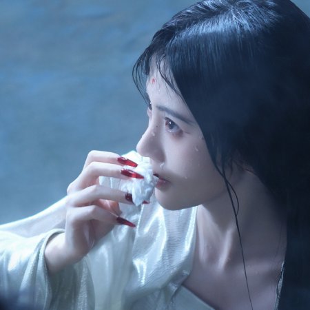 Veil of Shadows (2026)
