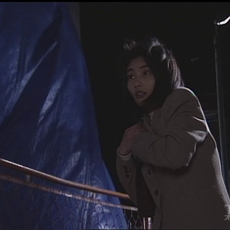 Hitorigurashi (1996)