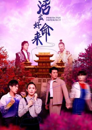 Perfectly Imperfect (2025) poster