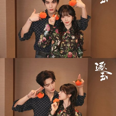 Pursuit of Jade (2026)