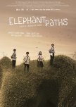 Elephant Paths