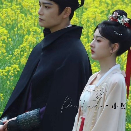 The Palace Stewardess ()