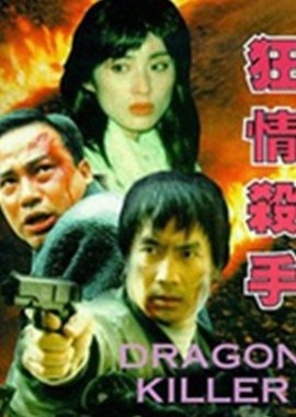Dragon Killer (1995) poster