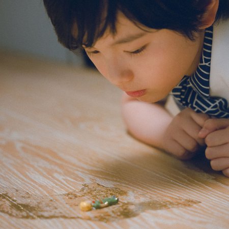 Sheep in the Box (2026)