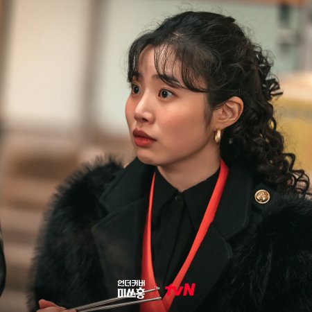 Undercover Miss Hong (2026)