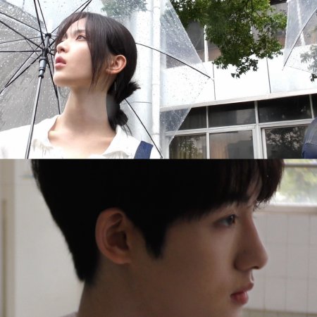 Sunshine through the Rain ()