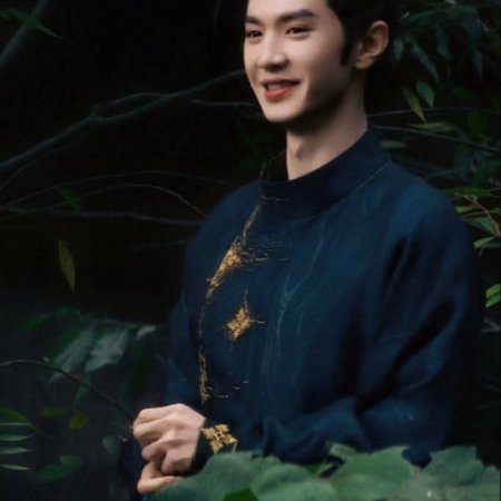 Jiang Shan Wei Pin ()