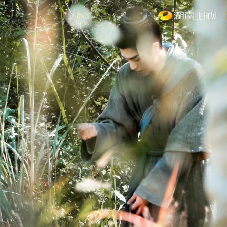 A Ming Dynasty Adventure ()