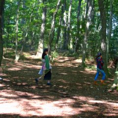 Gudon no Hohoemi Japanese Movie(2023) photo