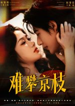 Written in the Tides Chinese Drama(2025) photo