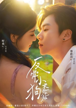 Fan Gu Xiao Gou Qiu Tie Tie (2025) poster