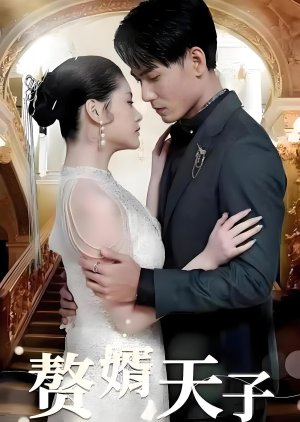 The Heavenly Son In Law (2024) poster