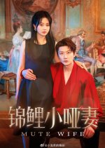 Mute Wife Chinese Drama(2025) photo