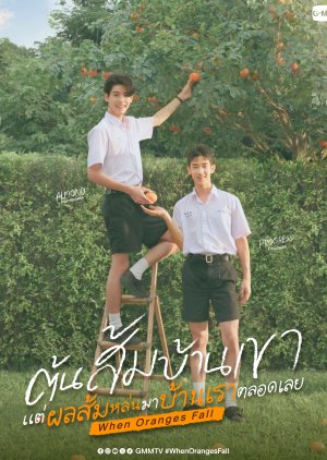 When Oranges Fall (0000) poster