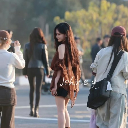 The Vanishing Beauty ()