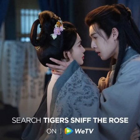 Tigers Sniff the Rose (2026)