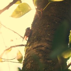 Summer Time Machine Blues Japanese Movie photo