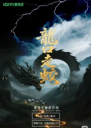 Long Kou Zou Jiao (0000) poster