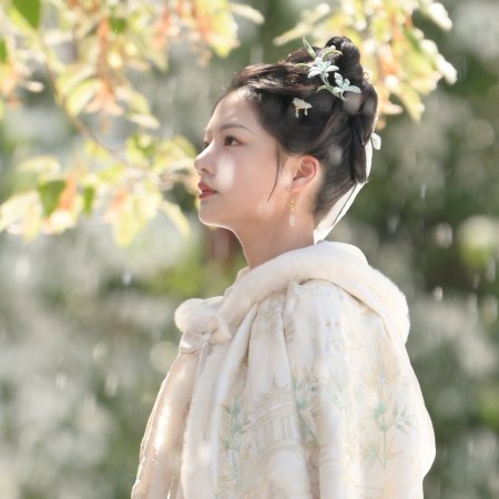 Liang Chen Mei Jin ()