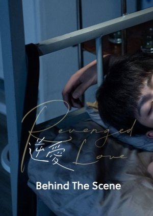 Revenged Love: Behind the Scenes (2025) poster
