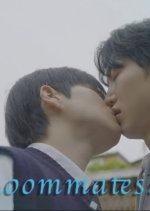 Boysmate Korean Drama(2025) photo