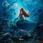 little mermaid