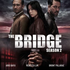 The Bridge Season 2 (2020)