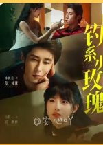 Diao Xi Xiao Mei Gui Chinese Drama(2025) photo