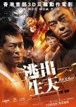Chinese Movies