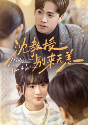Meet You Like the Wind (2025) poster