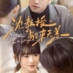 Meet You Like the Wind (2025)