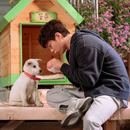 Good Boy (2025)