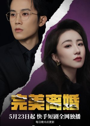 Perfect Divorce (2025) poster