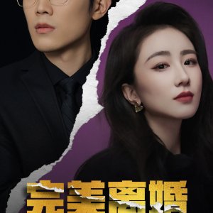 Perfect Divorce (2025)