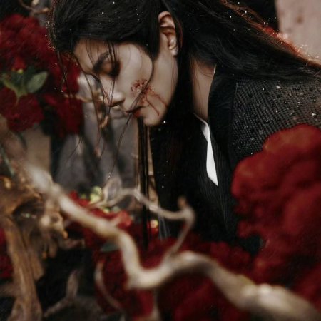 Blossoms of Power ()
