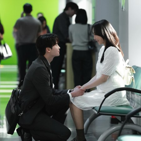 Law and the City (2025)