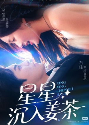 Xing Xing Chen Ru Jiang Cha (2025) poster