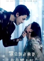You Can't Afford to Climb High Chinese Drama(2024) photo