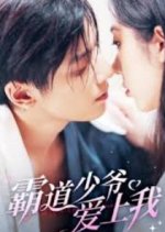 Ba Dao Shao Ye Ai Shang Wo Chinese Drama photo